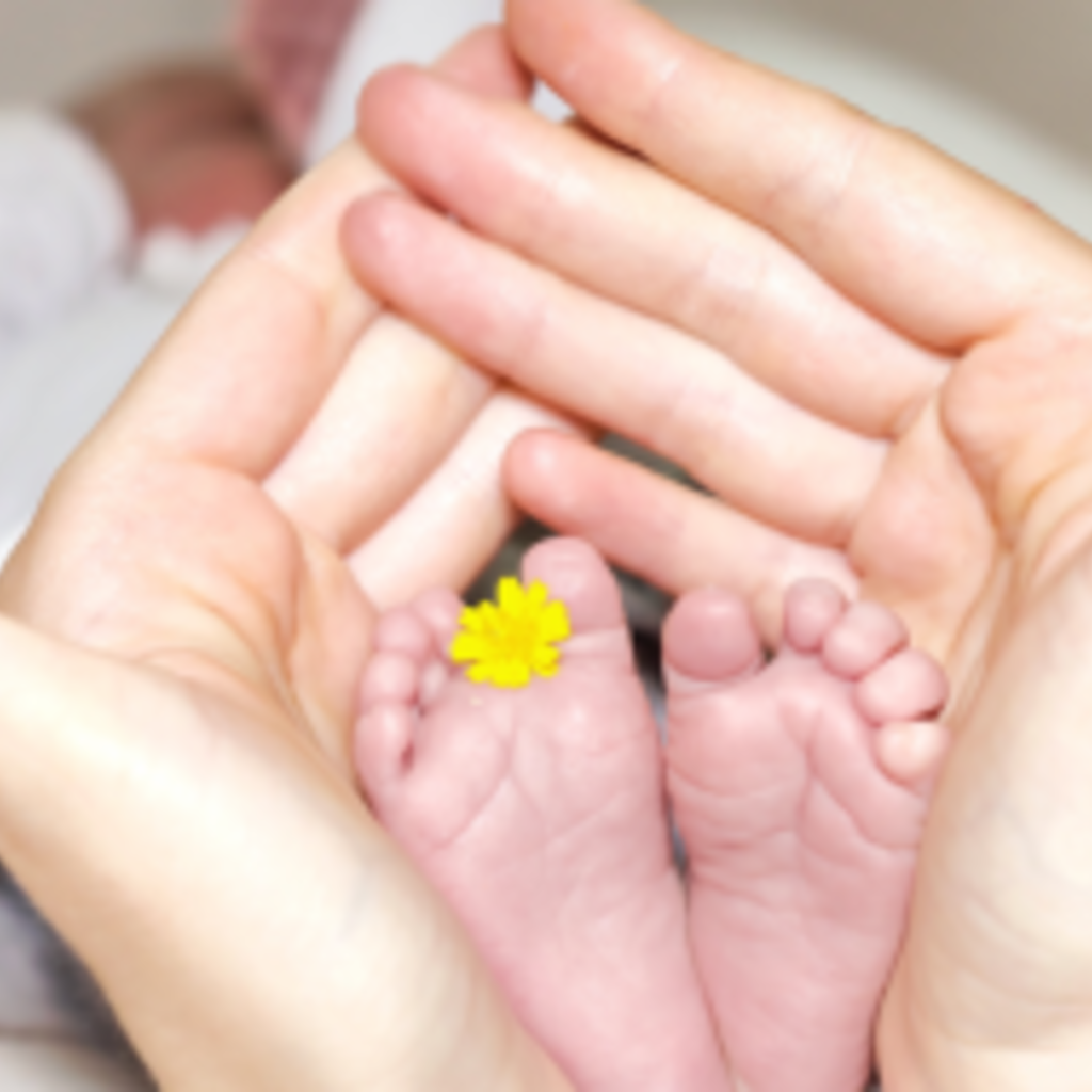 Adult hands holding newborn feet